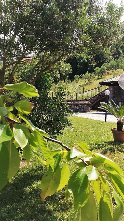 B&B Girasole Torraca エクステリア 写真